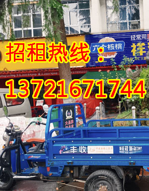 开元八号1